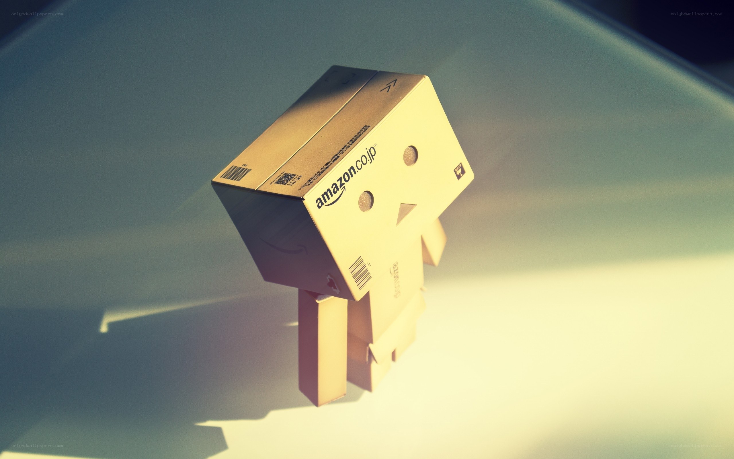Danbo cardboard box figure