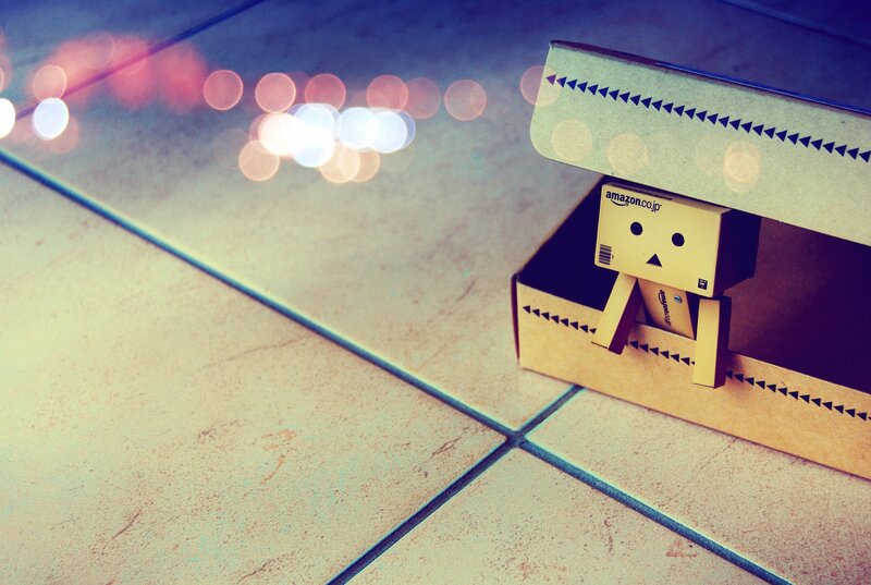 Danbo Cardboard Figure — Brown, Calm, Night