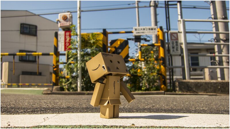 Danbo Cardboard Figure — Brown, Calm