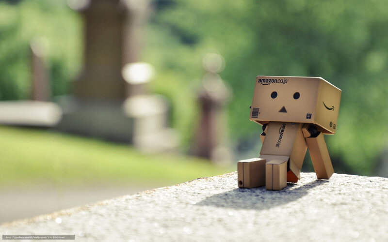 Danbo Cardboard Figure — Brown, Serene, Afternoon