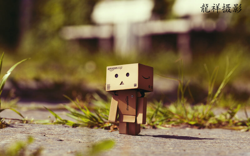 Danbo Cardboard Figure — Brown, Serene