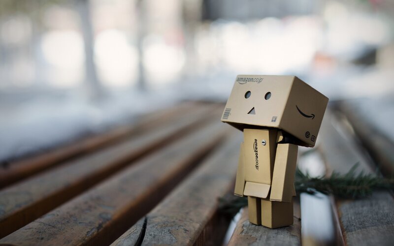 Danbo Cardboard Figure — Brown, Serene, Winter