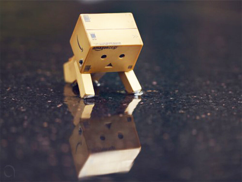 Danbo Cardboard Figure — Brown