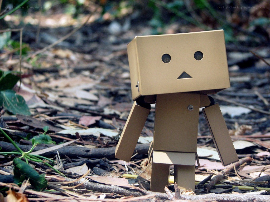 Danbo cardboard figure in forest