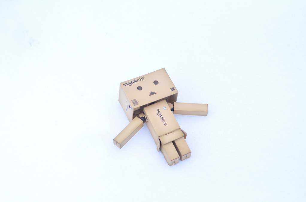 Danbo cardboard figure in snow