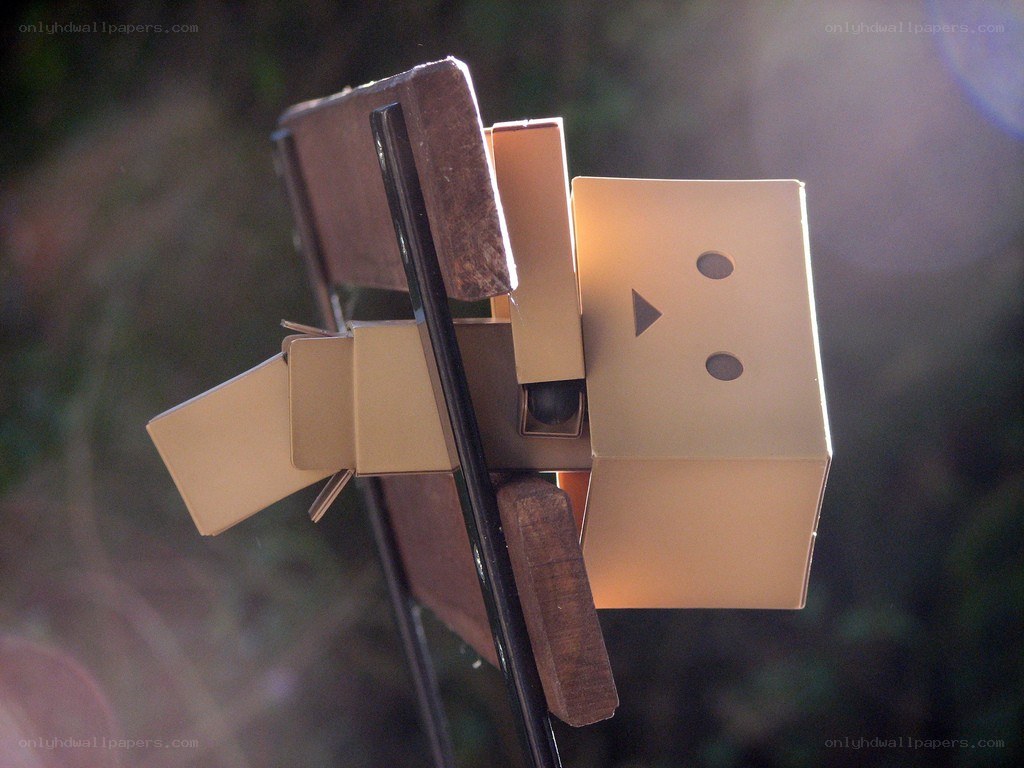 Danbo cardboard figure on bench