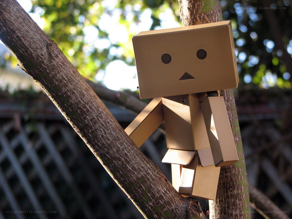Danbo cardboard figure on tree