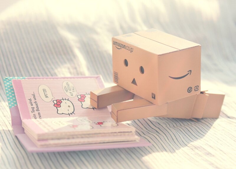 Danbo Cardboard Figure — Pink