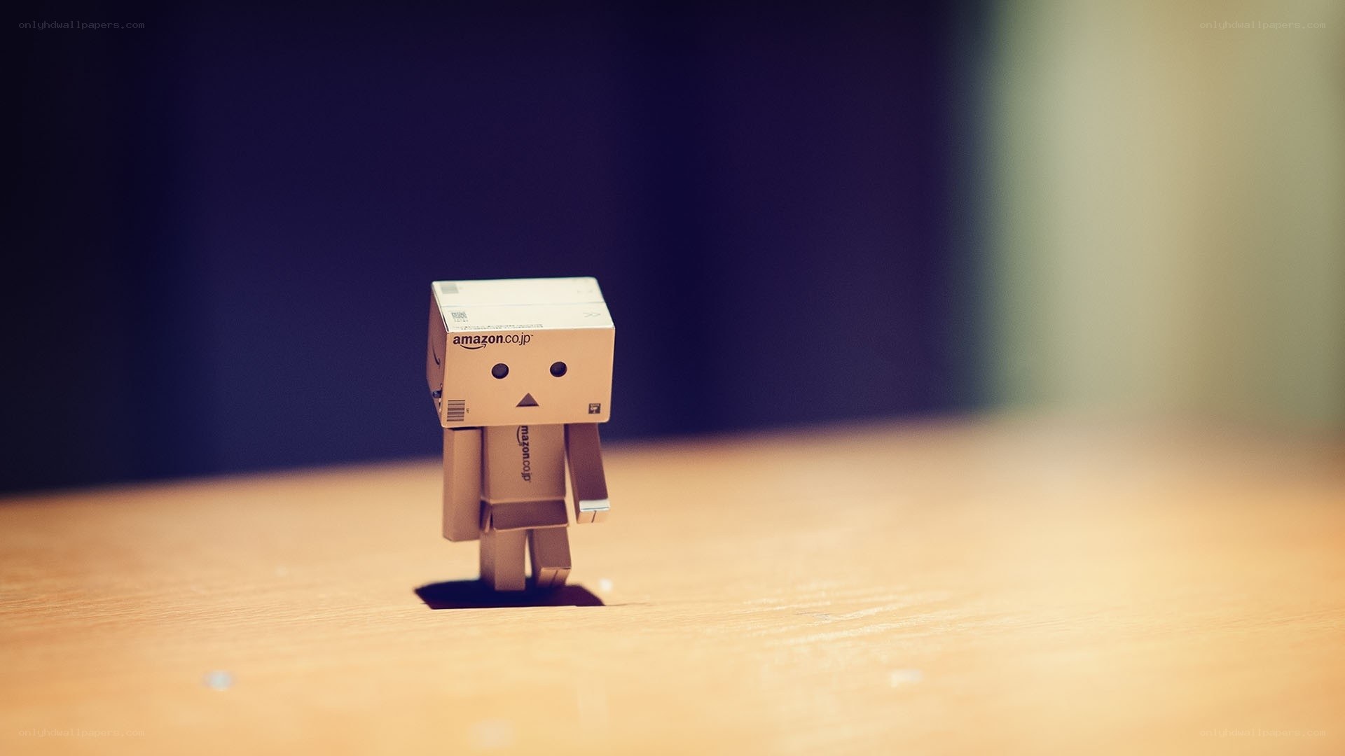 Danbo cardboard figure