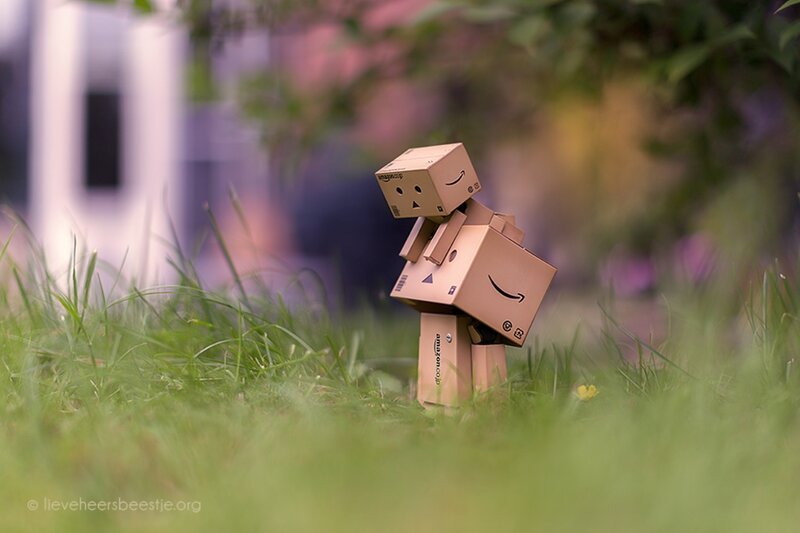 Danbo Cardboard Figures