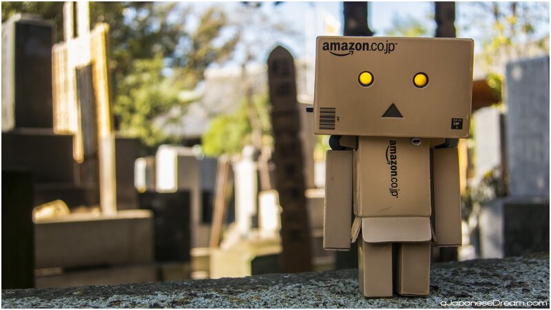 Danbo Cardboard Robot — Brown, Serene
