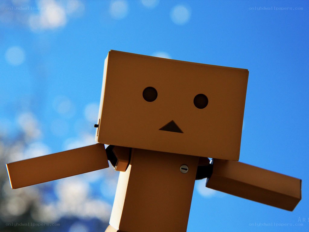 Danbo cardboard robot figure