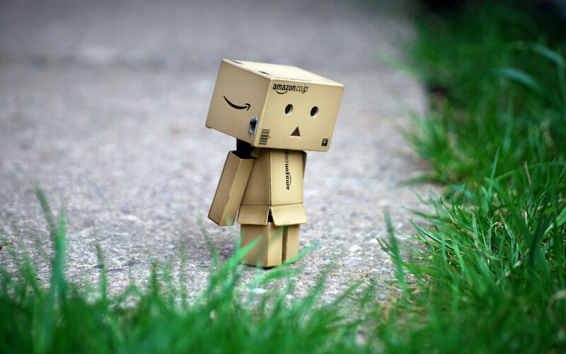 Danbo cardboard robot figure