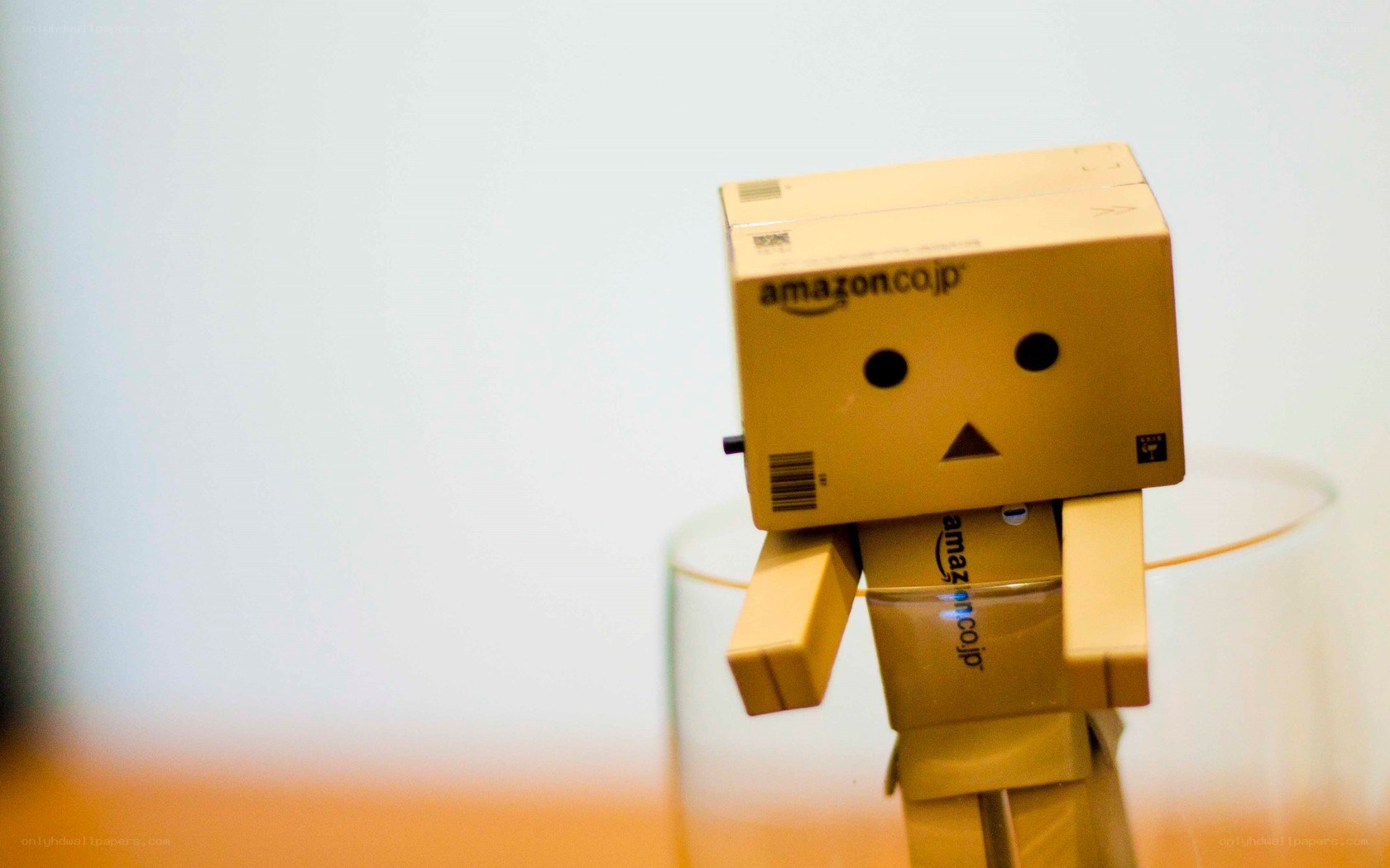 Danbo cardboard robot figure