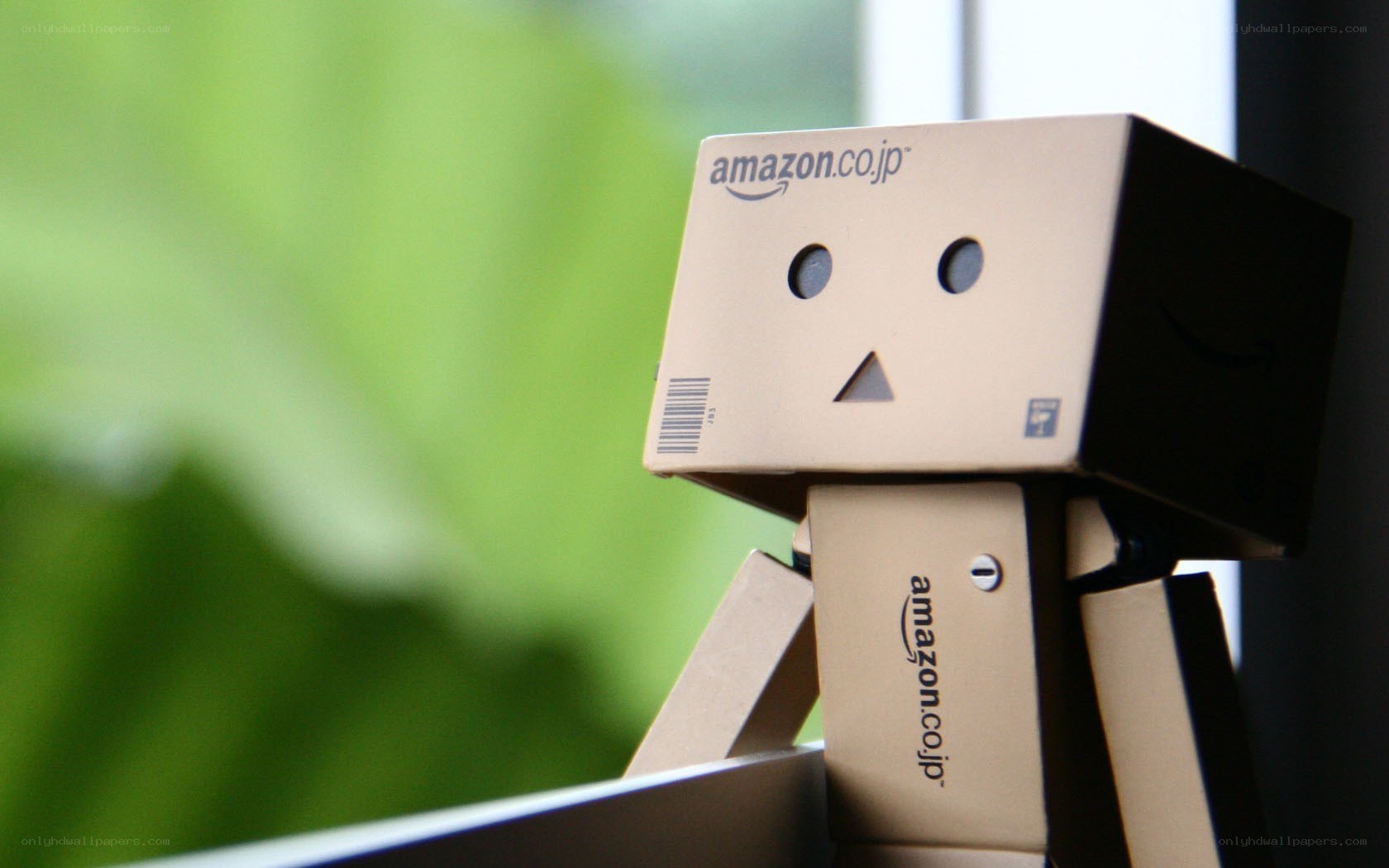 Danbo cardboard robot figure