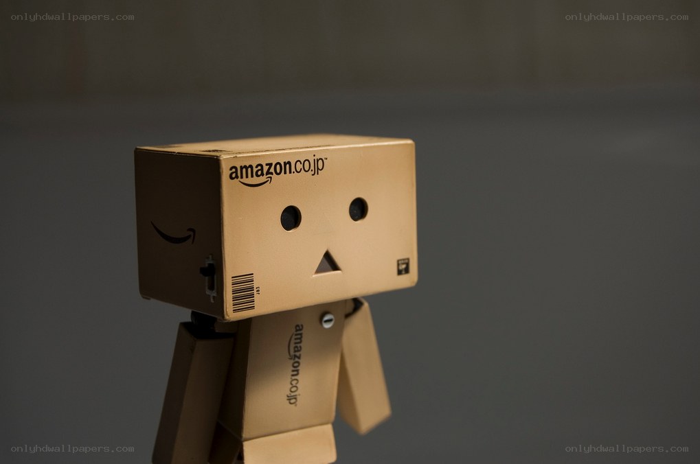 Danbo cardboard robot figure