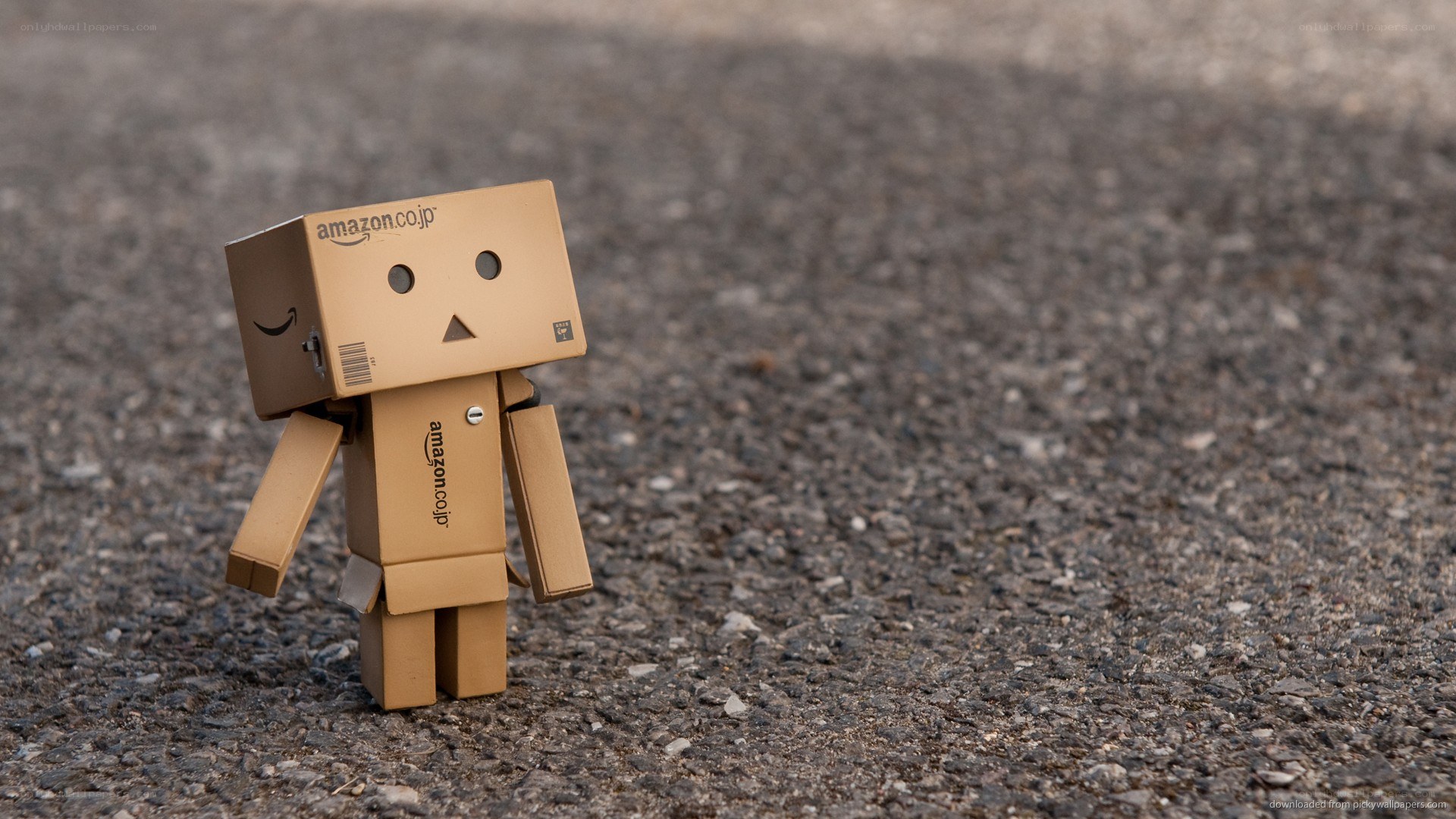 Danbo cardboard robot on pavement