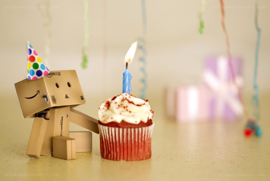 Danbo celebrates birthday