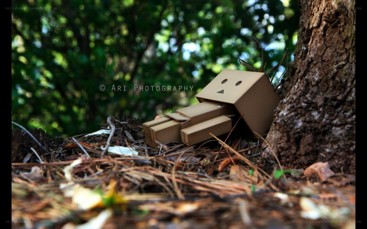 Danbo doll in forest