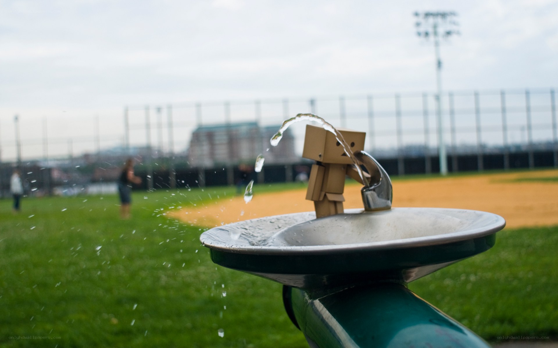 Danbo drinking from a fountain