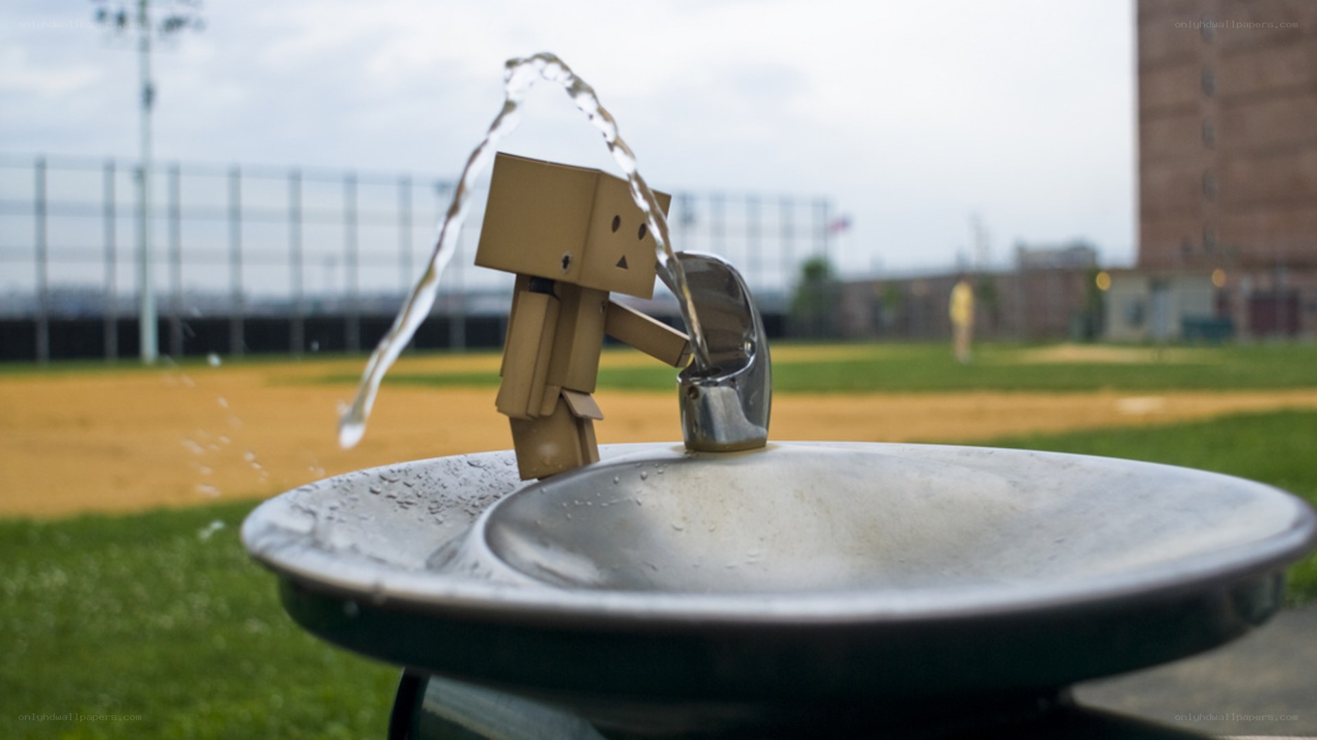 Danbo drinking from a fountain