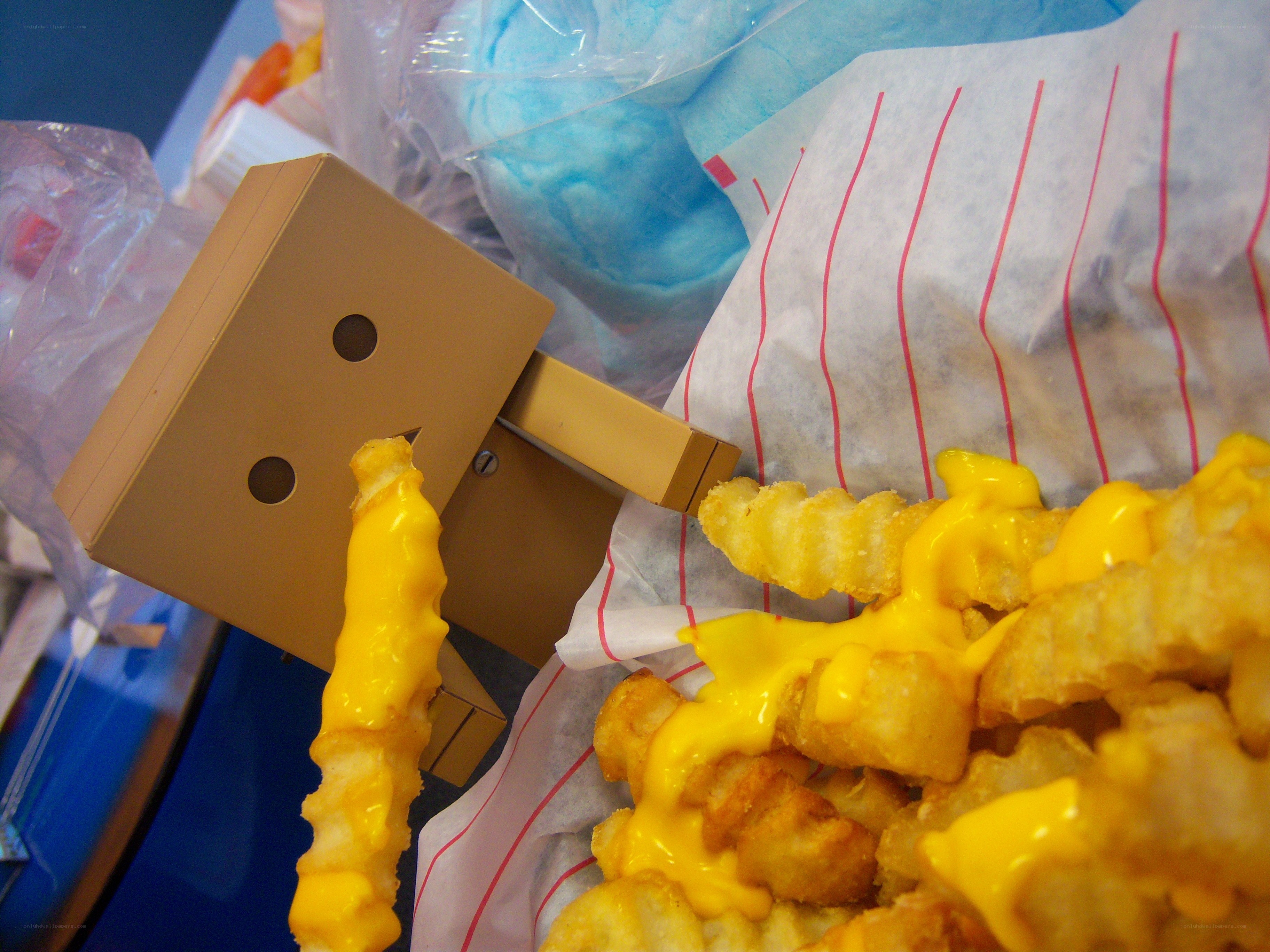 Danbo eating cheese fries