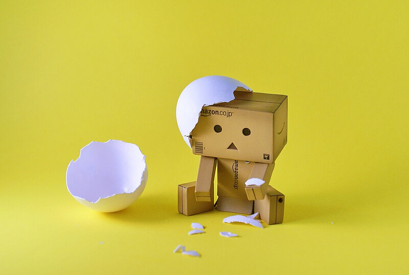 Danbo emerges from egg