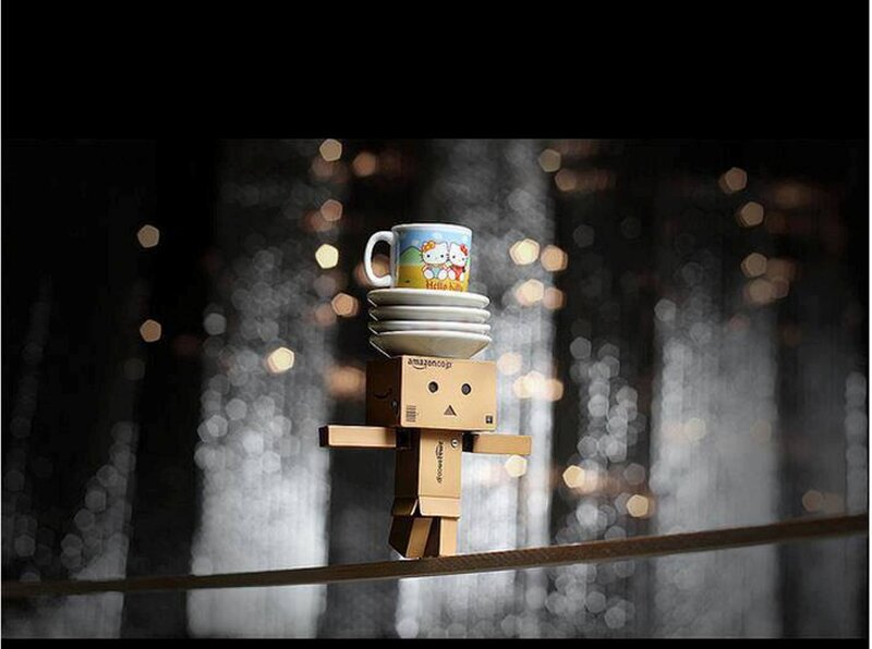 Danbo Figure Balancing