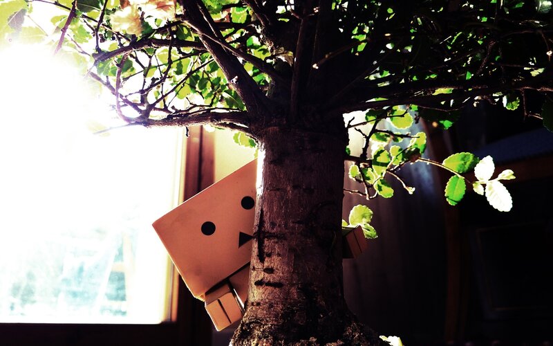 Danbo Figure Behind Tree — Brown