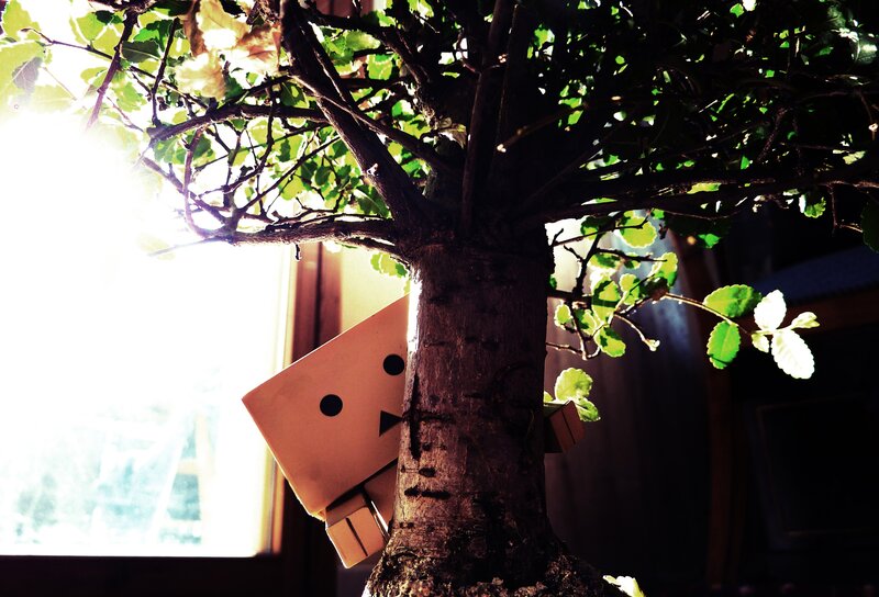 Danbo Figure Behind Tree — Green