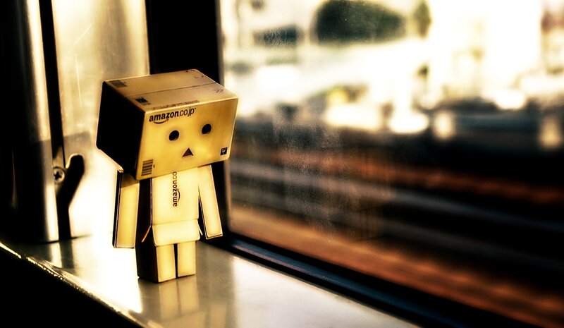 Danbo Figure by Window