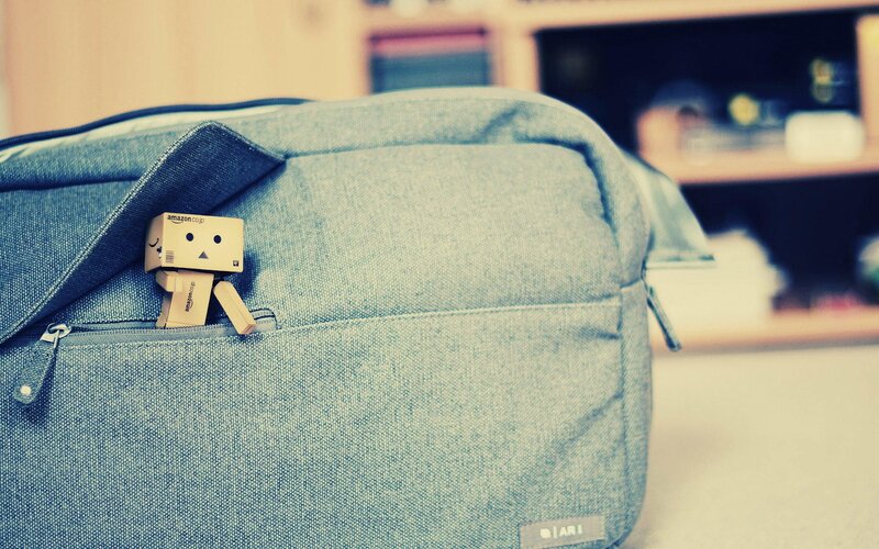 Danbo Figure in Bag
