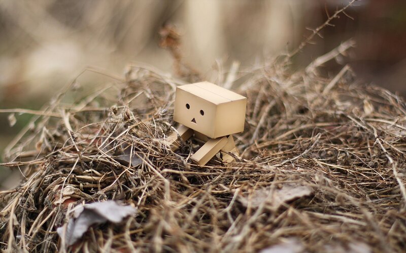 Danbo Figure in Dry Grass