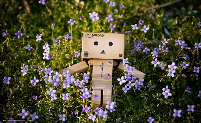 Danbo Figure in Flowers — Green