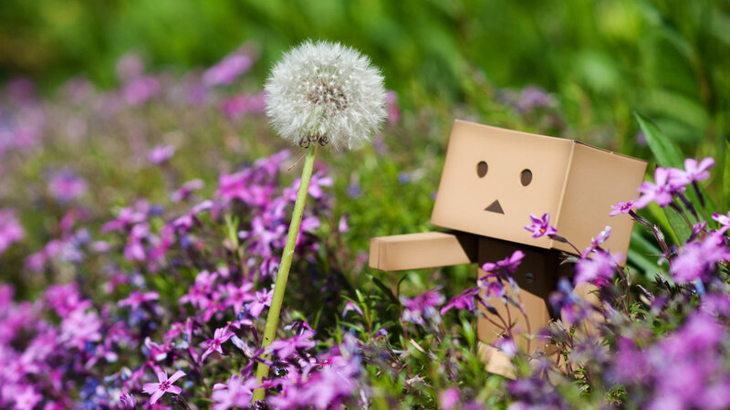 Danbo Figure in Flowers
