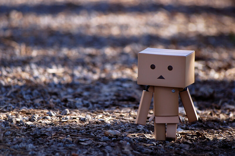 Danbo figure in forest