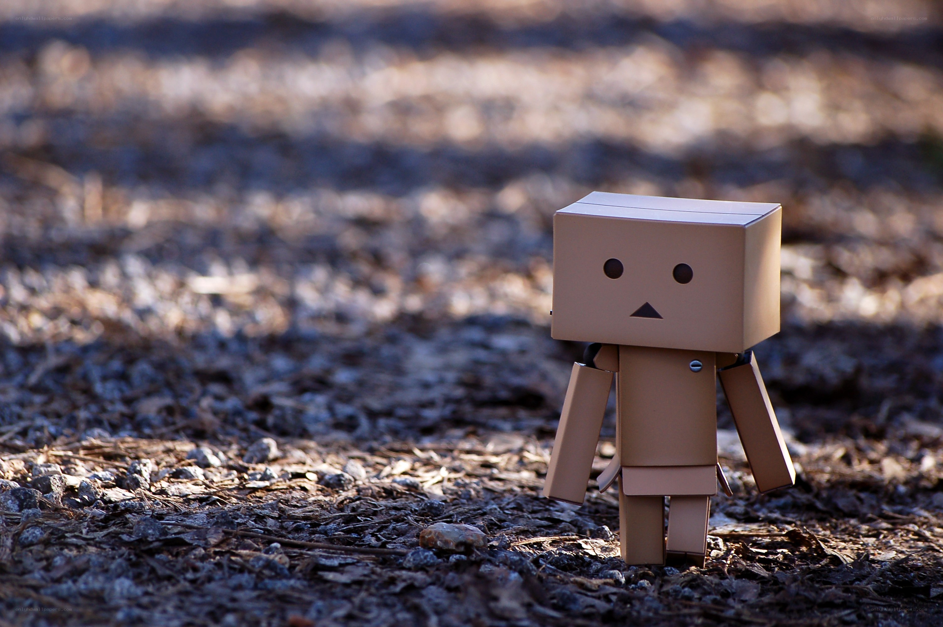 Danbo figure in forest