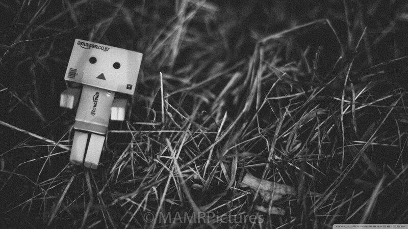 Danbo Figure in Grass — Black
