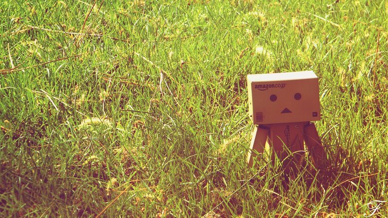 Danbo Figure in Grass — Green, Serene, Afternoon, Photograph, Cardboard Box