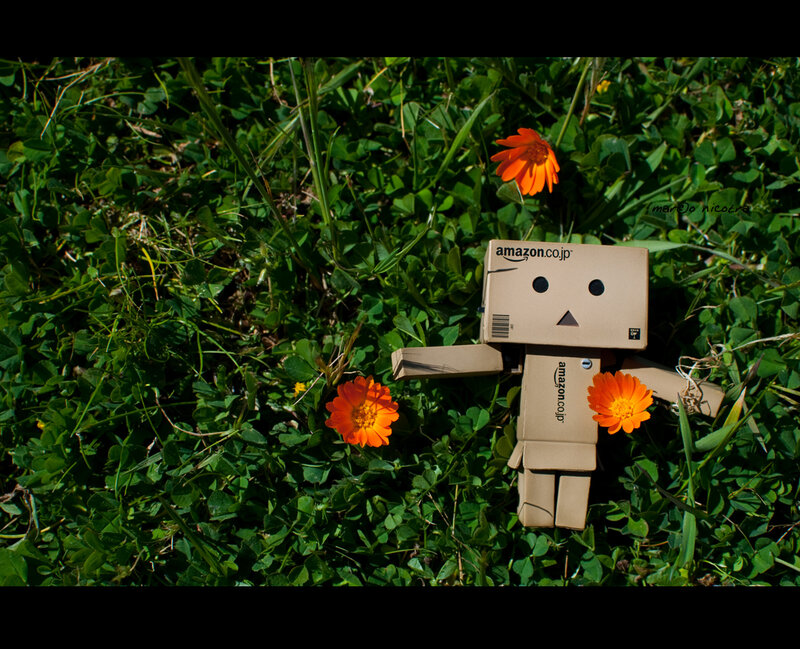 Danbo Figure in Grass — Green, Serene, Afternoon, Photograph, Flowers