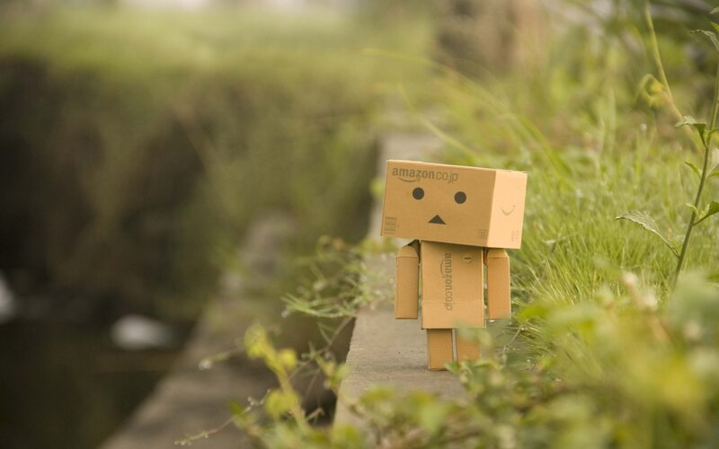 Danbo Figure in Grass — Green, Serene, Photograph