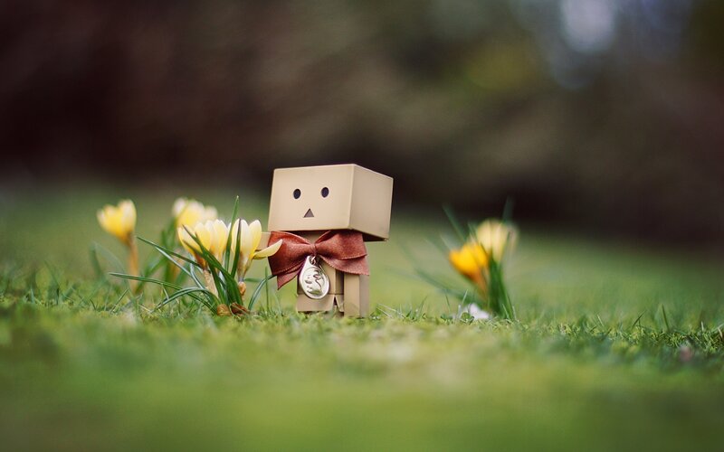Danbo Figure in Grass — Green, Serene, Spring