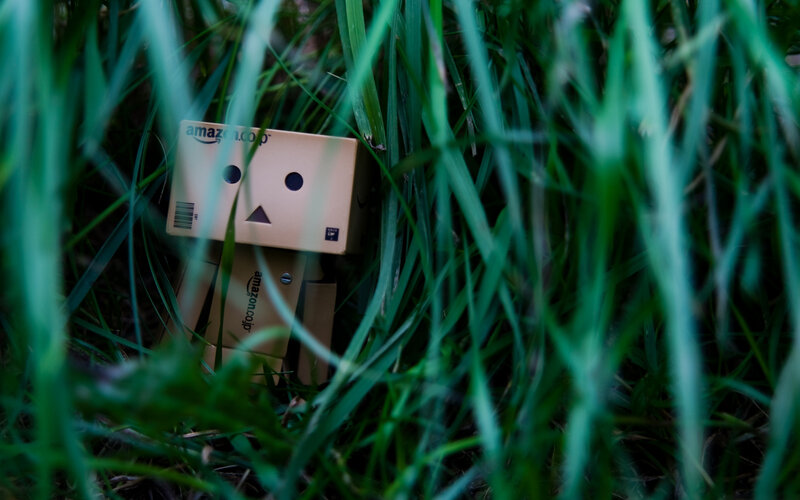 Danbo Figure in Grass — Green