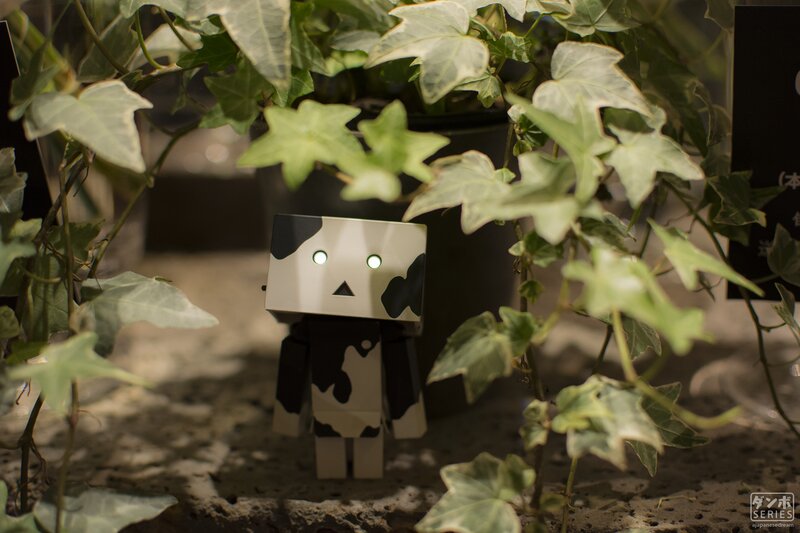 Danbo Figure in Ivy