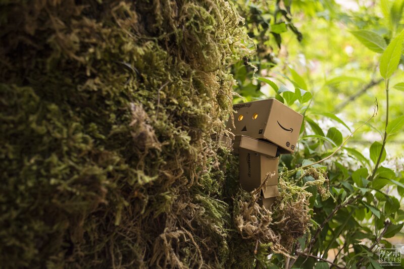 Danbo Figure in Moss