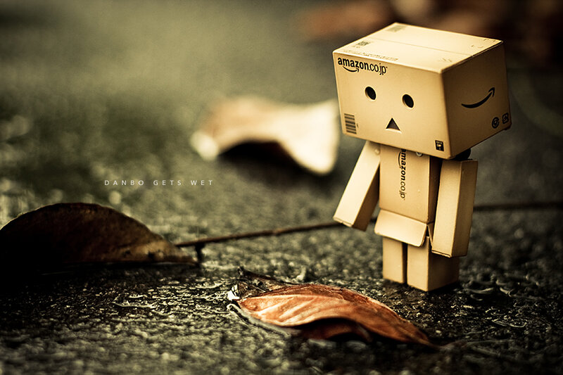 Danbo Figure in Rain — Brown