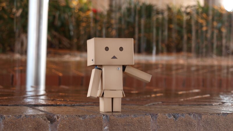 Danbo figure in rain