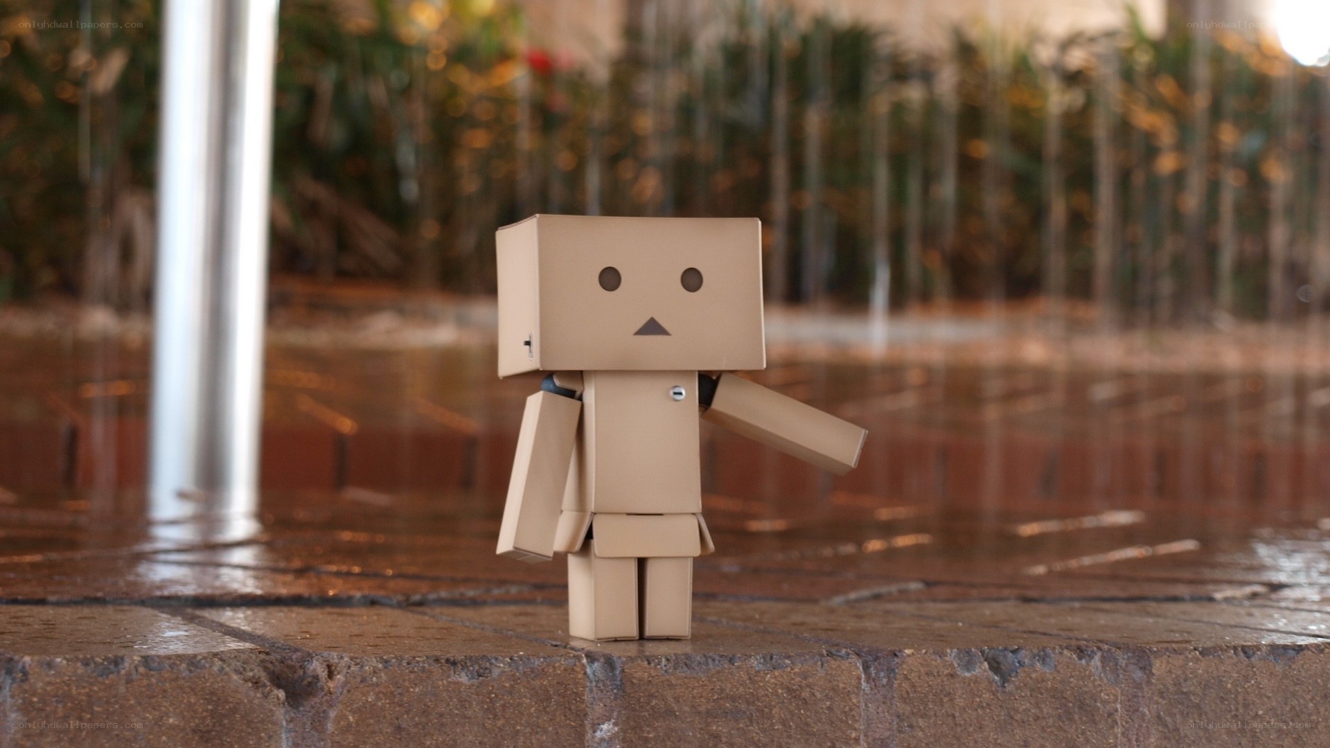 Danbo figure in rain