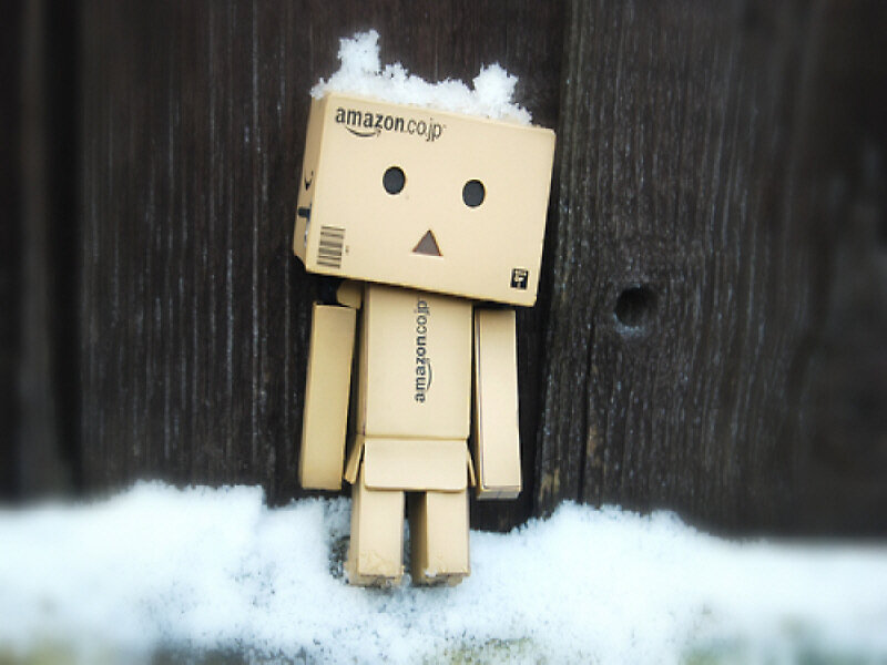 Danbo Figure in Snow — Brown, Calm, Winter