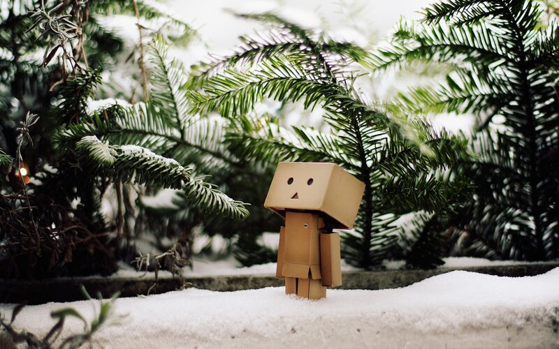 Danbo Figure in Snow — Brown